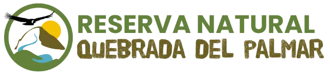 quebradadelpalmar